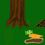 Ping Pong, Sock Hopper, and Nuber put the carrots by the tree and wait for the bird catcher